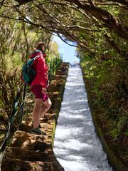 Madeira, Madera, Ilha da Madeira.  Levada do Alecrim, PR 6.2, levada, lewada © filozofgrecki