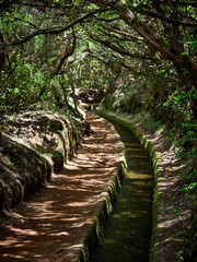 Madeira, Madera, Ilha da Madeira.  Levada do Alecrim, PR 6.2, levada, lewada © filozofgrecki