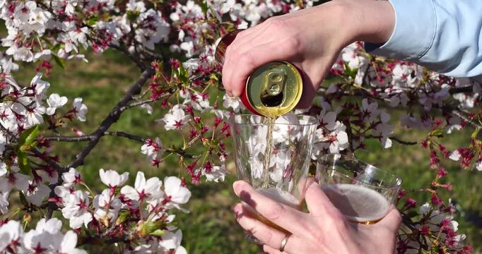 お花見とビール（コップを２個持ちながら手酌/スロー）