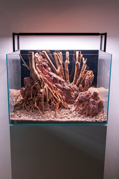 Canyon Roots Aquascape, aquascaping hardscape design