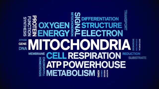 Mitochondria animated word cloud-gross domestic product animation tag kinetic typography seamless loop.