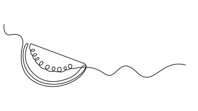Abstract piece of watermelon, Self drawing animation one continuous line draw, logo, Animated self drawing of continuous line draw sliced healthy organic watermelon, Full length one line animation.