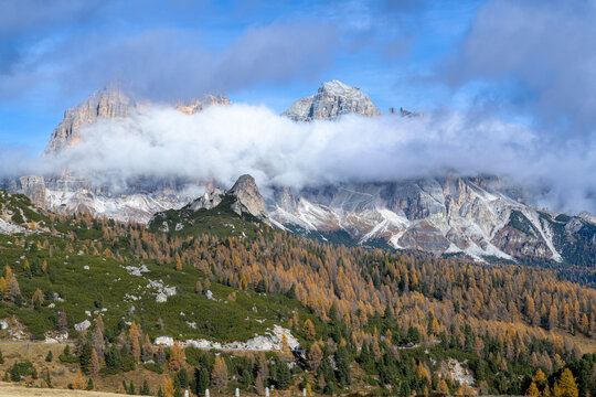 Panoramic view of the Tofane mountain group and golden larch forest under a cloudy sky in autumn, Dolomites, Italian Alps, Italy.