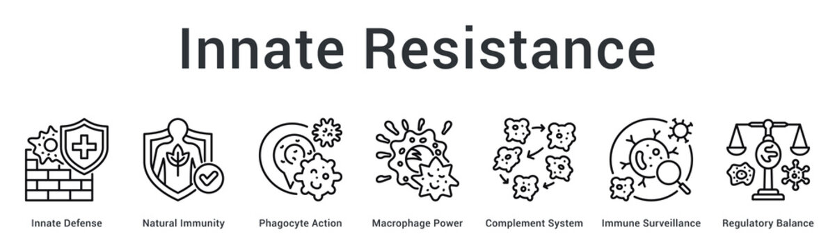 Innate resistance banner web icon provides immediate natural defense through phagocytes and surveillance mechanisms balancing responses.