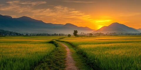 Fototapeta premium Scenic sunset view over fields and mountains dirt path leading to horizon