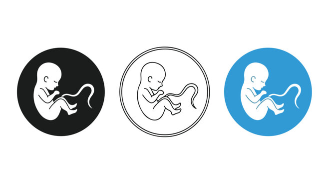 Three stylized icons representing a human fetus with umbilical cord in different colored circles: black, white outline