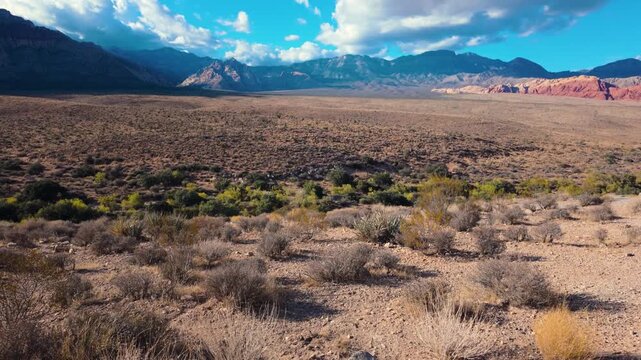 Red Rock Canyon Scenic Tilt Meadow and Cliffs Sunny Day, Nevada 