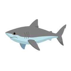 Fototapeta premium Gray and White Shark Vector Icon