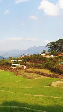 Lush green rice terraces and scattered rural houses set against rolling hills and distant mountains near Bontoc and Sagada, Philippines.