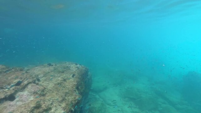 Snorkeling in Oludeniz, Turkey, school of small fish swimming over large rock at sea bottom, rather low visibility