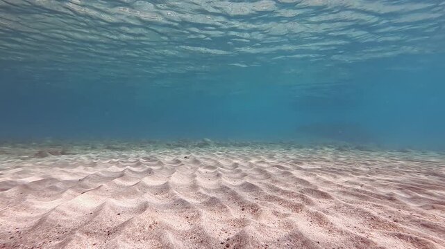 Sandy sea bottom near beach shore, small ripples visible on ground, closeup detail 2x slow motion video