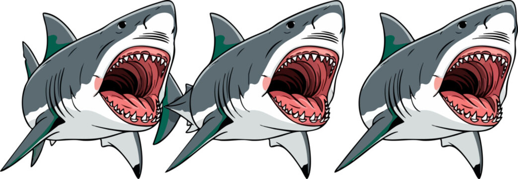 Aggressive Great White Shark vector illustration, fierce predatory shark with open jaws and sharp teeth, set of 3 marine animal mascots
