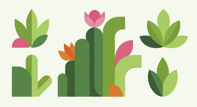Abstract Geometric Cactus and Succulent Plant Illustrations.