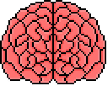 Human Brain Pixel Art Anatomy Icon