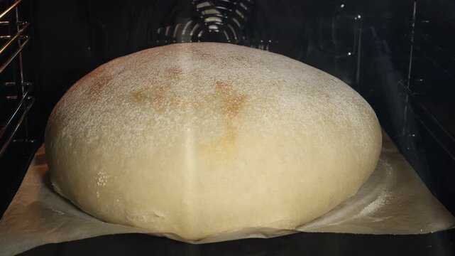 Timelapse of a large round loaf of white wheat bread baking in the oven