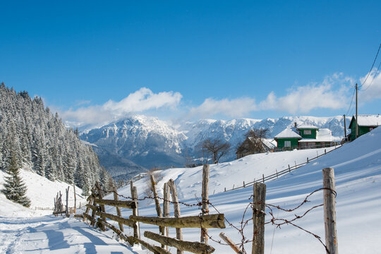 Snowy mountain village landscape with wooden fence, pine forest, and alpine peaks under blue sky