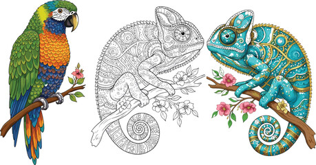 Fototapeta premium Colorful parrot and ornamental chameleon illustration set featuring vibrant tropical bird, detailed line art reptile, and decorative patterned wildlife vector design