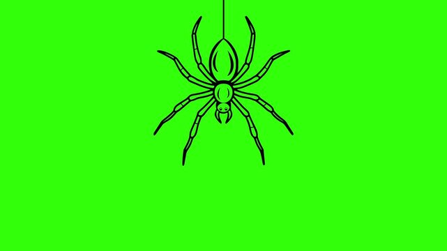 Hanging spider line icon animation on green screen