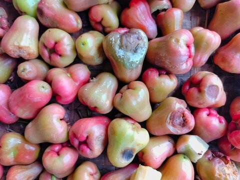 rotten wax apples with mold