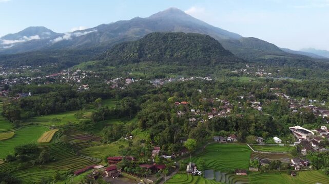 Aerial view of Mount Welirang with terraced rice fields, rural village settlement, and green valley landscape in East Java, Indonesia