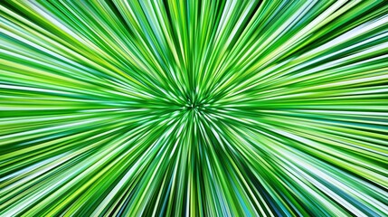 Fototapeta premium Vibrant Green Palm Fronds Radiate From a Central Point in a Starburst Pattern