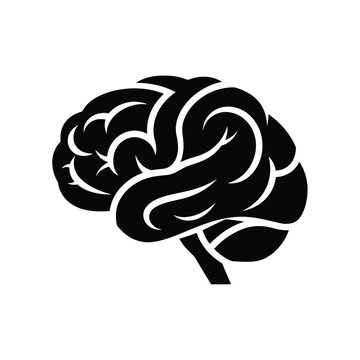 A stylized black silhouette depicts a human brain with intricate swirling convolutions and a stem high quality
