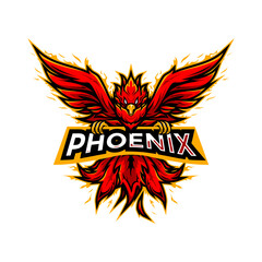Colorful fiery red phoenix illustration from front, idea for esports logo, sticker, print, etc. © Erry