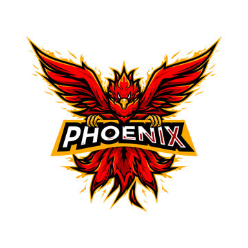 Colorful fiery red phoenix illustration from front, idea for esports logo, sticker, print, etc.