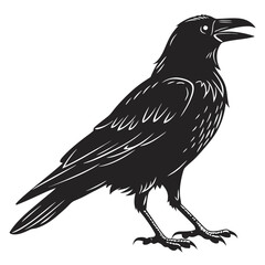 Obraz premium Crow Silhouette Vector Black Raven Bird Icon Isolated on White