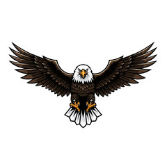 Fototapeta premium Hand-drawn bald eagle vector, wings spread, majestic bird illustration for sports, esports, and branding