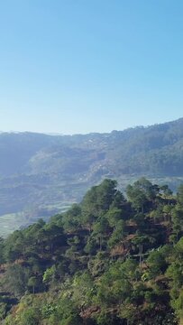 Scenic view of lush green hills and pine trees under a clear blue sky near Bontoc and Sagada, Philippines. Peaceful natural countryside landscape in the mountains.