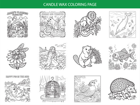 Candle wax coloring page featuring flamingo numbat monkey dolphin bee mermaid beaver fish pig bird and hedgehog illustrations