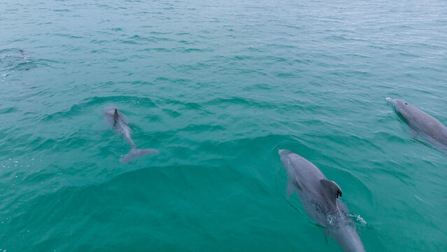 Destin Florida Gulf of Mexico (America)