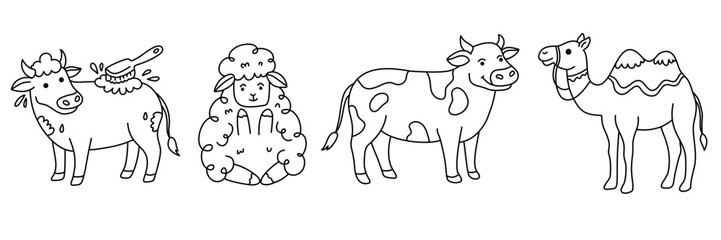 Fototapeta premium collection of farm animals for sacrifice featuring brushed cow and fluffy sheep