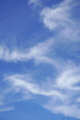 Obraz premium Bright Blue Sky With Wispy White Clouds and Gentle Cirrus Streaks Overhead for Background