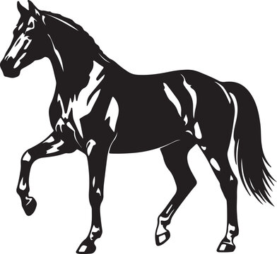 American Saddlebred in silhouette on white background۔