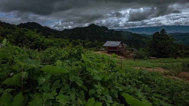 Tazing Dong (also known as Bijoy) is officially recognized as the highest peak in Bangladesh, located in Ruma Upazila, Bandarban, within the Saichol Mountain range. 