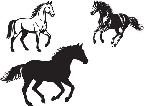Morgan Horse  in silhouette on white background.