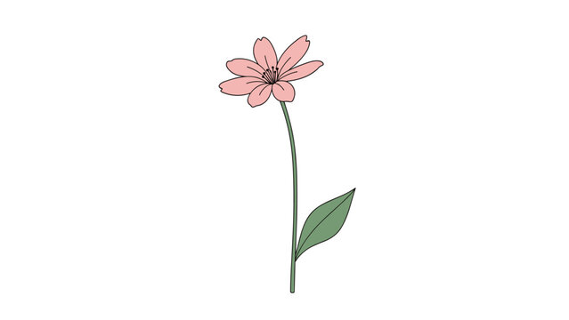 Graceful and minimalist illustration of a single delicate pink flower with a slender green stem and a leaf, on a white background.