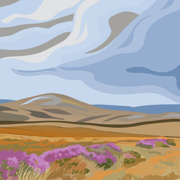 Rolling Scottish highlands covered in purple heather under a moody, overcast sky.