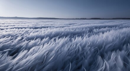 Fototapeta premium Soft White Feathers Moving Like a Slow Tide in Cool Moonlight