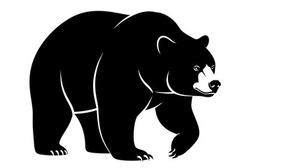 Fototapeta premium A black bear walks forward steadily.