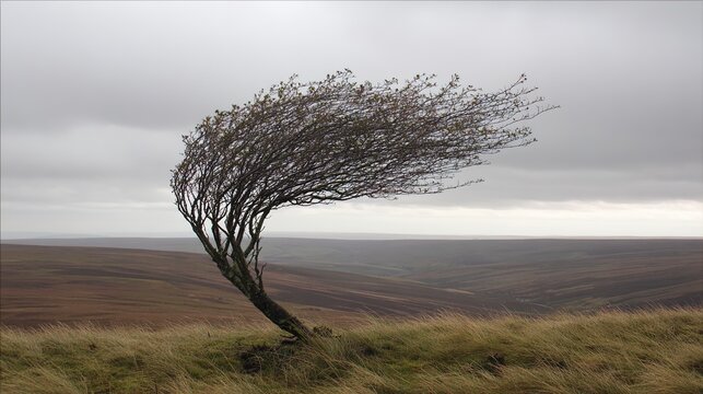 toppled. Wind-toppled tree with new branches growing upward, symbolizing perseverance in a vast landscape. ESG reports.