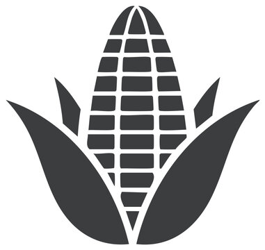 Modern monochrome corn cob icon with husks representing farming food production and harvest season