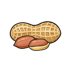 Obraz premium Cartoon illustration of a whole peanut and two shelled peanut kernels.