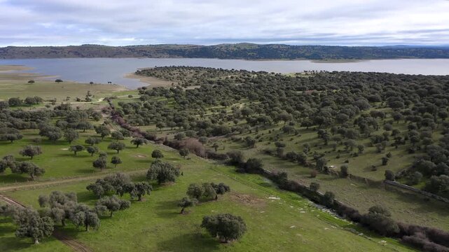 Aerial view of Santa Teresa Reservoir in Salamanca, Spain. Large freshwater reservoir on the Tormes River surrounded by agricultural plains and rolling hills, strategic water resource in Castilla y Le