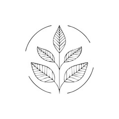 Fototapeta premium Minimalist black and white line art botanical emblem with delicate leaves and a circular frame