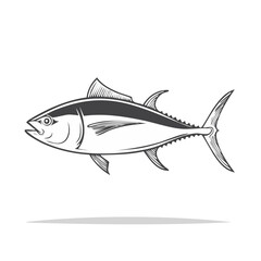 Obraz premium Stylized Tuna Fish Illustration Drawing Monochrome