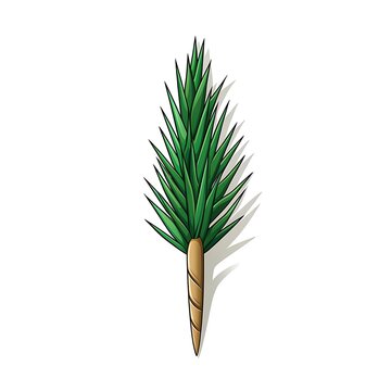 Pine Tree Nail Vector Illustration Isolated