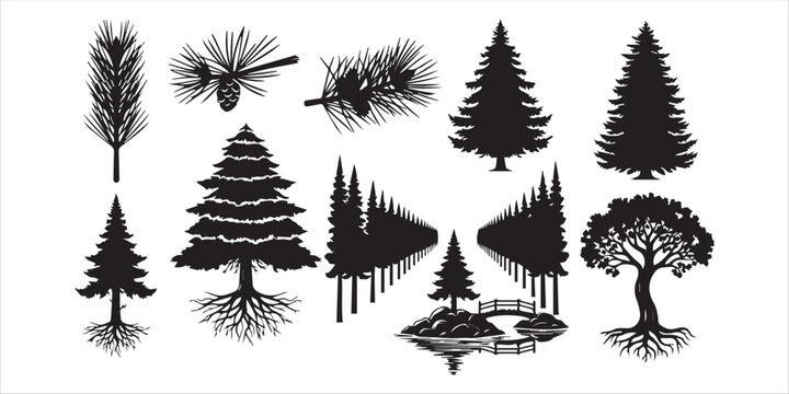 Pine tree and conifer silhouette vector set with roots and forest elements